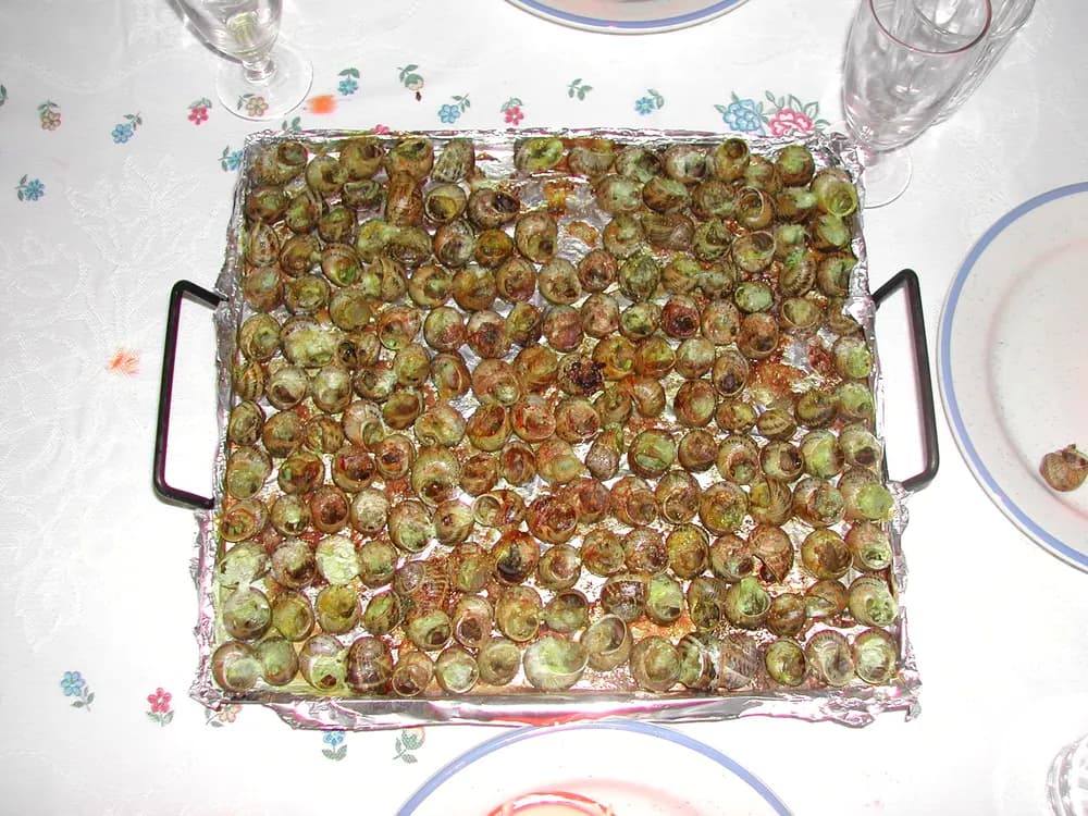 a tin of grilled snails, the dish lleida is known for.